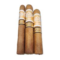 Regius Orchant Seleccion Peru 2025 Sampler - 3 Cigars
